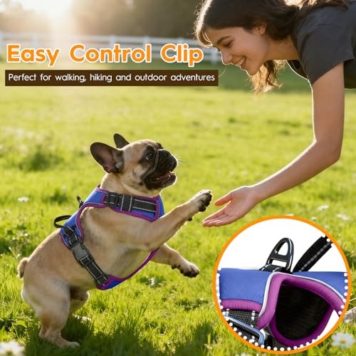 No Pull Dog Harness, No Chock Reflective Adjustable Soft Padded Pet Vest with Easy Control Handle, Easy Wearing with Stylish, Reinforced Knot, 2 Buckles - color: Blue/Purple, size: X-Small