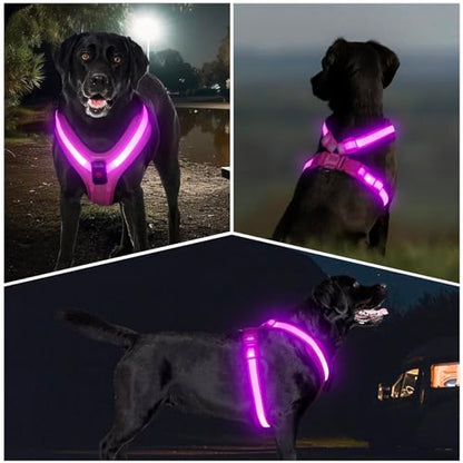Light Up Dog Harness, LED Dog Harness Rechargeable, Glow in the Dark, LED Dog Vest Reflective, Light Up Harness for Dogs, Dog Lights for Night Walking, Pink, XL - color: Pink