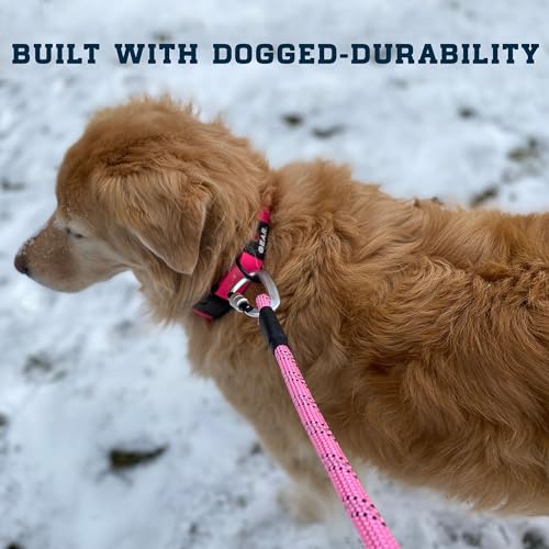 Heavy Duty Dog Leash with 1100LB Rated Locking Carabiner – 6FT Climbing-Inspired Reflective Rope Leash for Large & Medium Dogs that Pull – Padded Handle (Navy/Yellow) - color: Navy/Yellow