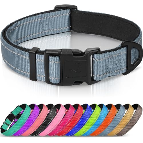 Joytale Reflective Dog Collar, Soft Neoprene Padded, Metal D-Ring, Nylon Pet Collar Adjustable for Puppy and Small Dogs, Gray, XS - color: Gray, size: X-Small (Pack of 1)