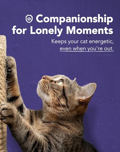 Lukamoo® Cat Scratching Pad, Wall Mounted Scratcher for Indoor Cats (Medium (24'' x 16'')) (Tuxedo) - color: Tuxedo