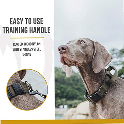 OneTigris Tough Dog Collars, Tactical Dog Collar with Handle, Milltary Adjustable Dog Collar with Heavy Duty Metal Buckle for Training (Medium (Pack of 1), Green) - color: Green, size: Medium