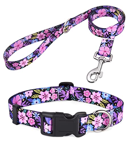 Dog Collar and Leash Set with Bohemia Floral Tribal Geometric Patterns - Soft Ethnic Style Collar Adjustable for Small Medium Large Dogs(Pink Floral Set,XS) - color: Z-Pink Floral Set, size: XS (Neck 7.9-11.8", Width 5/8")