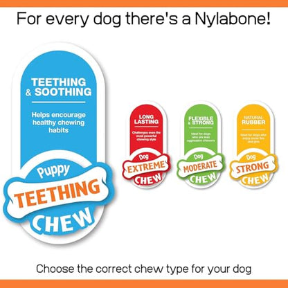 Nylabone Rubber Teether Puppy Chew Toy, Teething Toys for Puppies, Vanilla Flavor, Small - Up to 25 lbs, 1 Count - size: Small