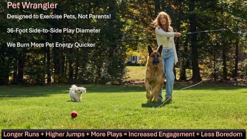 PET Wrangler 2.0 - Upgraded Flirt Pole for Dogs, Interactive Dog Toy with Reinforced 50" Pole &10ft Cord, Creates Extended Play Area, 3 Changeable Lures for Training, Exercise, & Enrichment