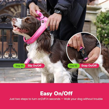 Didog No Pull Dog Harness with Soft Mesh Padded,Reflective & Quick Fit Light Weight Dog Strap Vest Harness,Easy for Walking Training (S:Chest 18-22", Pink) - color: Pink, size: S: Chest 18-22", Fit 19-29 lbs