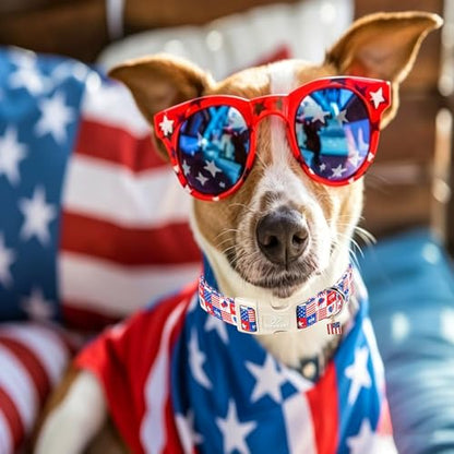 4th of July Dog Collar Blue Patriotic Dog Collars for Puppy Small Dogs - Lightweight Adjustable 1776 Boy Girl Puppy Collars Cute Independence Day Male Female Dogs Collar XS - color: 1776 Checkered, size: XS