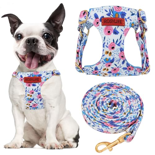 No Pull Dog Harness Adjustable Small Dog Harness and Leash Set, Lightweight and Soft Dog Harness No Choke Escape Proof Pet Harness Vest (Blue Rose, S) - color: Blue Rose, size: S