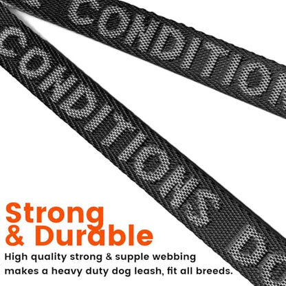 Double Dog Leash, No Tangle 360° Swivel, Adjustable Two Padded Handles, Double Clip Dog Leash Coupler Splitter Breeds (Pink, 4/5'' x 0.9 FT, Ultralight) - color: Pink, size: Pro M/L