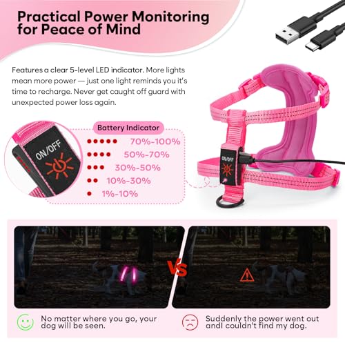 Light Up Small Dog Harness, LED Rechargeable Harness for Small Sized Dog, No Pull Reflective Adjustable Dog Vest Harness with Soft Light, Glow-in-The-Dark for Night Safety Walking (Pink)