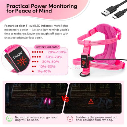 Light Up Small Dog Harness, LED Rechargeable Harness for Small Sized Dog, No Pull Reflective Adjustable Dog Vest Harness with Soft Light, Glow-in-The-Dark for Night Safety Walking (Pink)