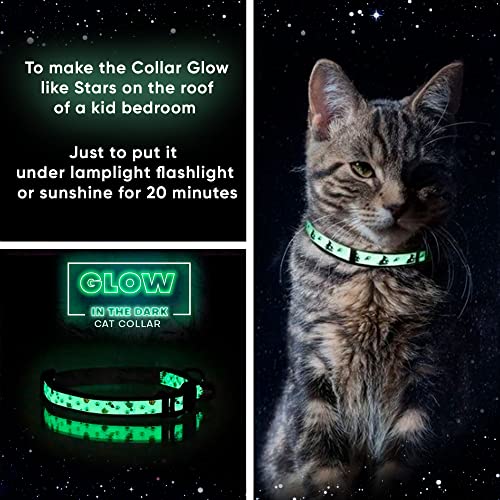 Pawtitas Glow in the Dark Cat Collar – Safety Buckle & Removable Bell, Adjustable Kitten Collar, Orange - color: GID Orange