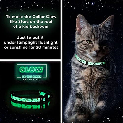 Pawtitas Glow in the Dark Cat Collar – Safety Buckle & Removable Bell, Adjustable Kitten Collar, Orange - color: GID Orange