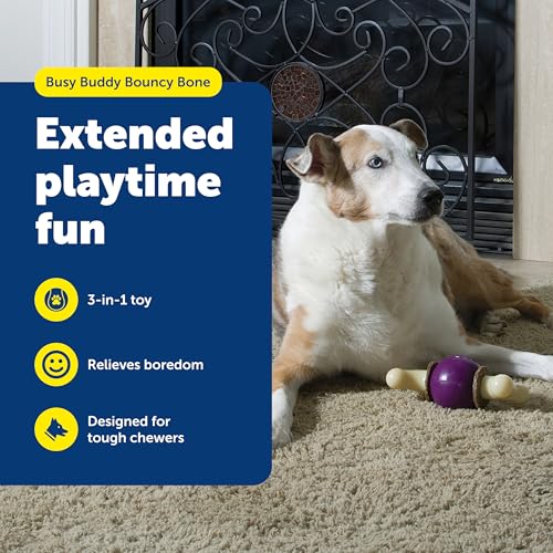 PetSafe Busy Buddy Bouncy Bone, Treat Holding Dog Toy, Small, Best for Dogs Up to 10 Lb. - size: Small, style: 3-in-1 Slow Feeder Toy