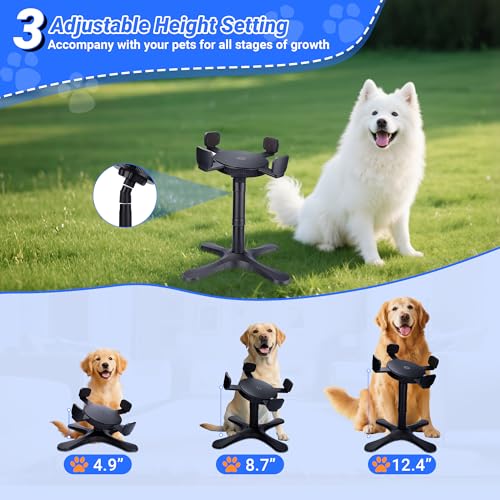 Dog Bowls,Elevated Adjustable Dog Bowl Stand with 3 Heights & Tilted Feeding Design, Raised Stand Compatible with Medium & Large Breeds(2 Pack) Black - size: B - Dog Bowls Stand 2 Pack
