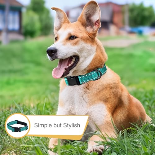 HEELE Dog Collar, Reflective Dog Collar, Soft Neoprene Padded Breathable Nylon Pet Collar Adjustable for Small Dogs, Turquoise, S(10.23-14.96") - color: Turquoise, size: Small (10.23-14.96")