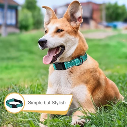 HEELE Dog Collar, Reflective Dog Collar, Soft Neoprene Padded Breathable Nylon Pet Collar Adjustable for Small Dogs, Turquoise, S(10.23-14.96") - color: Turquoise, size: Small (10.23-14.96")