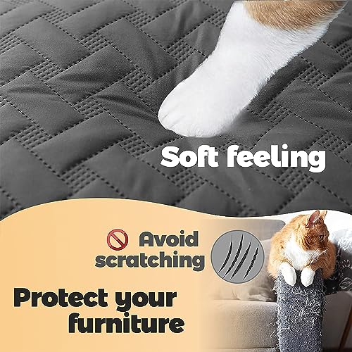 gogobunny 100% Double Sided Waterproof Dog Blanket Soft Pet Bed Cover Reversible Protect Furniture Couch Sofa Car for Puppy Cat Kids (Dark Grey/Light Grey, 30x30 Inch (Pack of 1)) - color: Dark Grey/Light Grey, size: 30x30 Inch (Pack of 1)