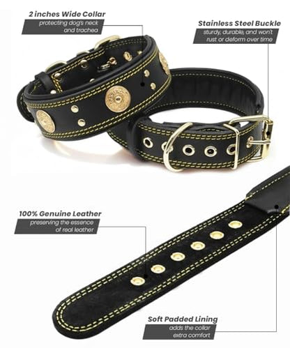 Leather Dog Collar, 2 inches Wide Heavy Duty Genuine Leather Collars, Handmade, Soft, and Luxury, Eye-catching Best Choice for Large and Medium Breed Dogs, Black-Gold 21-25 in - color: Black-Gold, size: 21-25 in