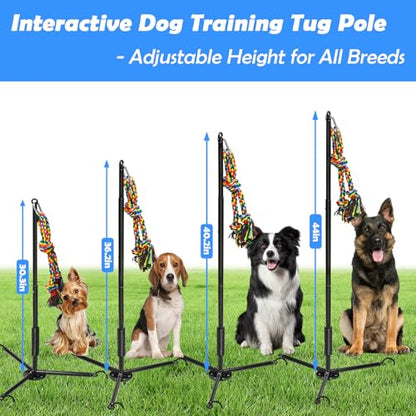 Tether Outdoor Dog Toy,Interactive Exercise Game in Yard Park Tug of War for Large Medium Small Dog Puppy with 2 Rope Toy and Bell Pull Chase and Solo Play