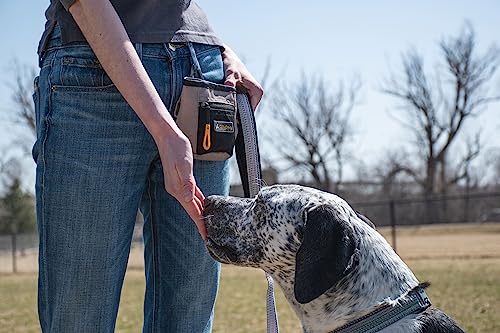 OllyDog Goodie Treat Bag, Dog Treat Pouch, Waist Belt Clip for Hands-Free Training, Magnetic Closure, Dog Training and Behavior Aids, Three Ways to Wear (Clay) - color: Clay