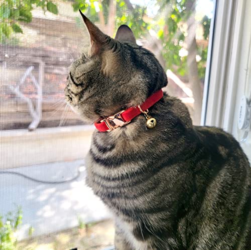 Sam & Maui Velvet Adjustable Cat Collar with Metal Rose Gold Buckle and Bell Red C - color: Red