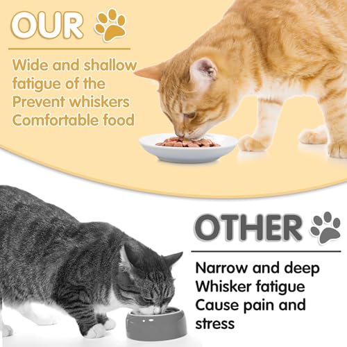 6 Pack Cat Food Bowl, Ceramic Cat Bowls, Anti Whisker Fatigue Cats Bowl Set,5.5 Inches Shallow Wide Kitten Plates for Food and Water (White-B) - color: White-B