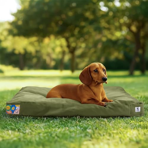 Sytopia 30 Inch Canvas Outdoor Dog Bed for Medium Dogs, Chew Proof Dog Bed with Waterproof Machine Washable Removable Cover, Durable Indoor Patio Pet Pad for Crate, Green - color: Green, size: Medium