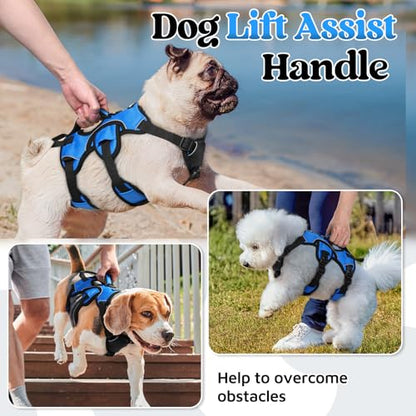 rabbitgoo Escape Proof Dog Harness, Soft Padded Full Body Pet Harness, Reflective Adjustable No Pull Vest with Lift Handle and Leash Clip for Large Dogs Walking Hiking Training, S, Blue - color: Blue, size: Small (Pack of 1)