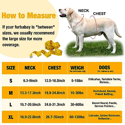 2 Pieces Orange Reflective Hunting Dog Vest, High Visibility Bright Dogs Safety Vest, Soft Adjustable Reflective Jacket for Outdoor Walking Hunting, Keep Dog in Sight and Safe (Blaze Orange) - size: M