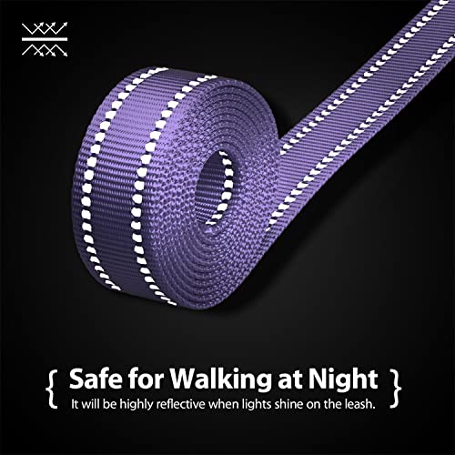 PHOEPET 5 Feet Dog Leash - Dual-Side Reflective - Soft Padded Handle - Fit for Walking, Training or Exploring Hiking, Camping (Baby Purple + Green Base) - color: Baby Purple + Green Base