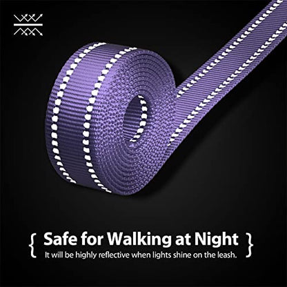 PHOEPET 5 Feet Dog Leash - Dual-Side Reflective - Soft Padded Handle - Fit for Walking, Training or Exploring Hiking, Camping (Baby Purple + Green Base) - color: Baby Purple + Green Base