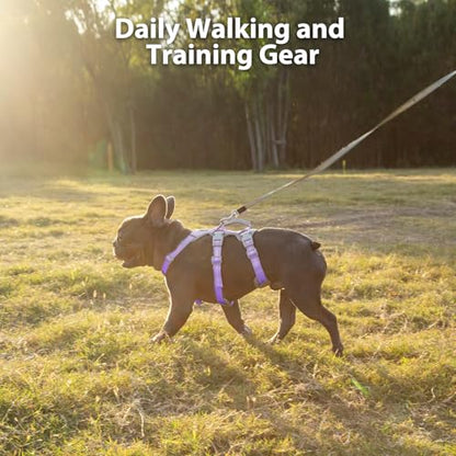 Huntboo Escape Proof Dog Harness,No Pull Reflective Harness with Lift Handle,Adjustable Pet Vest with Front and Back Leash Clips for Small Medium Large Dogs Walking Hiking Training(Lavender Purple,XL) - color: Lavender Purple, size: X-Large(Pack of 1)