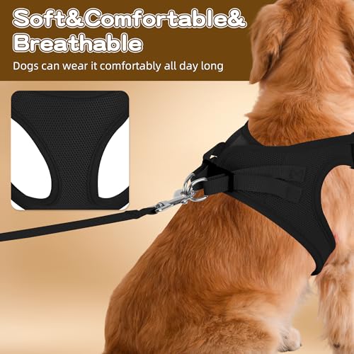 Pet Harness No Pull for Small Dogs and Cats, Adjustable Hook & Loop Fastener with Snap Buckle and Double D-Rings, 0.55FIT Breathable Mesh, Black, S - color: Black, size: S
