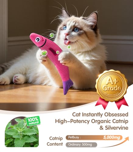 PetBusy Cat Toys with[5000mg A+Natural Catnip &Silvervine] [Baby Grade] Interactive Soft Chew Kicker Cat Toys for Indoor Cats & Kittens, [Crinkle &Bell] Fish Sound Toy, Drives Bored Cat Crazy with Fun - color: Blue+Pink