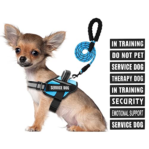 Service Dog Vest Harness and Leash Set, Animire in Training Dog Harness with 10 Dog Patches, Reflective Dog Leash with Soft Padded Handle for Small, Medium, Large, and Extra-Large Dogs (Light Blue,S) - color: Light Blue, size: S