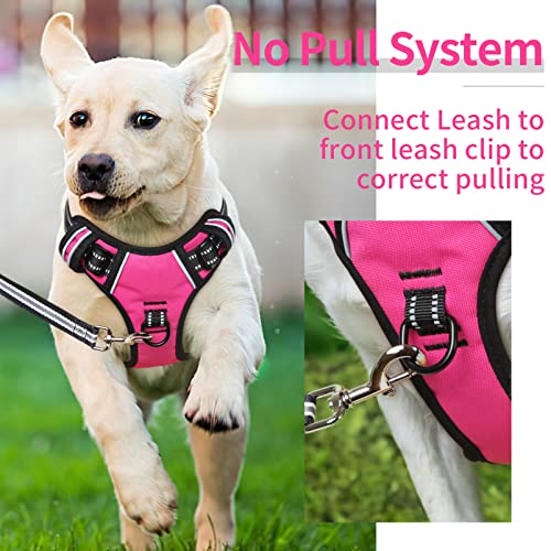 HEELE Dog Harness Dog Harness Small Dog No Pull Harness with Soft Handle Reflective Harness Adjustable, Rose, XS - color: Rose, size: XS