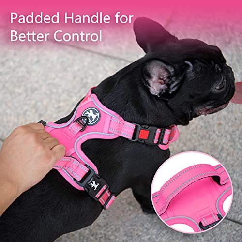 PoyPet No Pull Dog Harness, No Choke Reflective Dog Vest, Adjustable Pet Harnesses with Easy Control Padded Handle for Small Medium Large Dogs(Pink Matching Trim,XS) - color: Pink(Matching Trim), size: XS