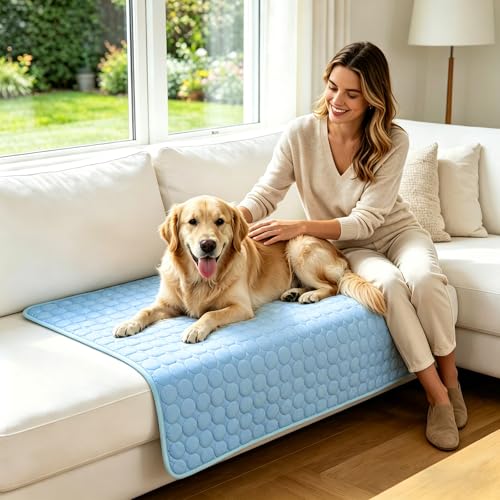 SOMOYA Dog Cooling Mat (Q-Max>0.4) Pet Cooling Pads Blanket Sleeping Kennel Mat,Ice Silk Cool Mat Pad Breathable Dog Bed Mats Beach for Large Dogs Cats (Blue, 27x22 in) - color: Blue, size: 22x27 in