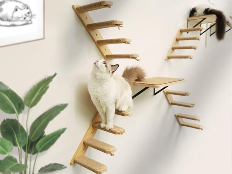 Cat Wall Shelves Stairs Cat Wall Furniture Mounted, 2PCS Shelves & 2PCS 4 Steps Climbing Shelf Scratching Perches for Sleeping, Playing, Climbing - color: 4 in 1