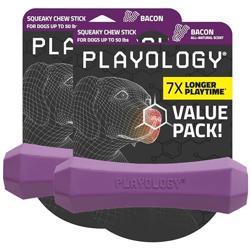 Playology Dog Toys | Squeaky Chew Stick for Dogs, Value 2-Pack | Bacon Scented Medium Fetch Toy | Squeaky Dog Chew Toys - size: Medium (VALUE 2-Pack), style: Bacon