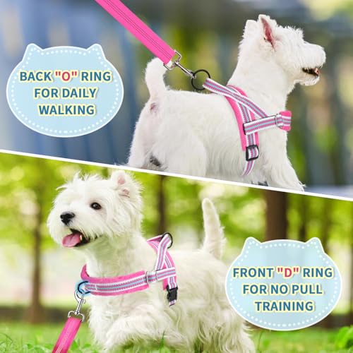 Lukovee No Pull Dog Harness and Leash Set, Soft Padded Small Dog Harness, Neck & Chest Adjustable Reflective Vest Puppy Harness with 4ft Lightweight Anti-Twist Dog Leash for Small Dogs (XXS, Fuschia) - color: Fuchsia - with Stripe, size: XXS ( Chest 11.5'