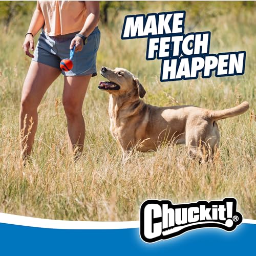 Chuckit! Ultra Tug Dog Toy, Medium Fetch and Dog Ball Tug Toy for Dogs 20-60 Pounds - size: Medium, style: Ultra Tug
