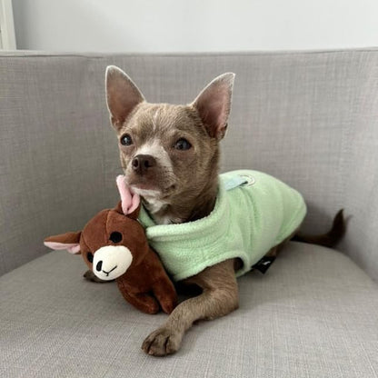JACKO & CO - Fleece Vest Dog Sweater with Leash Ring - Soft, Warm & Lightweight Pullover Coat for Small & Medium Dogs, Puppies & Cats - Cozy Fall/Winter/Spring Pet Jacket (Mint Green, X-Small 3lbs) - color: Mint Green, size: XS (2-4lbs)