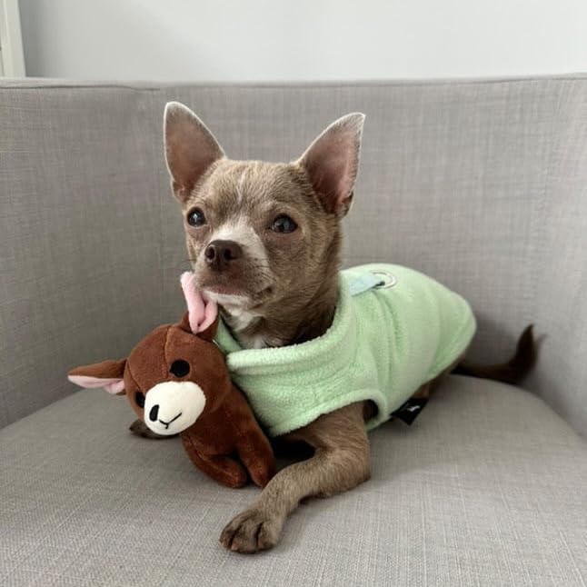 JACKO & CO - Fleece Vest Dog Sweater with Leash Ring - Soft, Warm & Lightweight Pullover Coat for Small & Medium Dogs, Puppies & Cats - Cozy Fall/Winter/Spring Pet Jacket (Mint Green, Small 4-6lbs) - color: Mint Green, size: S (4-6lbs)