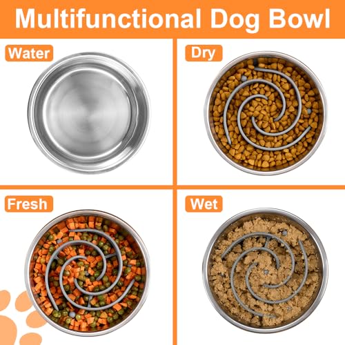 2-in-1 Metal Dog Bowl with Slow Feeder Insert, Stainless Steel Dog Bowls Food Grade 304, Water Food Bowl with Anti-Slip Silicone Base for Small, Medium, Large Dogs - color: Grey, size: 5 Cups