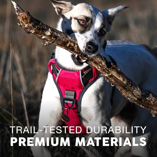 Embark Adventure Small Dog Harness – No-Pull, Reflective Trim, Military-Grade Nylon, Front Clip with Gel-Lined Handle - color: Red, size: S