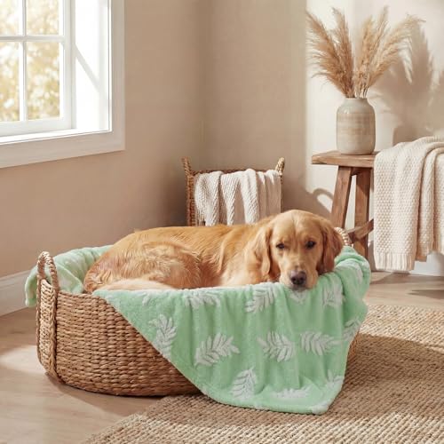 Horaldaily Pets Flannel Blanket, Green Leaves 3D Textured Soft Fuzzy Fluffy Plush Cozy Fleece Premium Blankets for Dog Cat Puppy Kitten Couch Protection, 20x30 - color: Green, size: 20''x30'',Medium