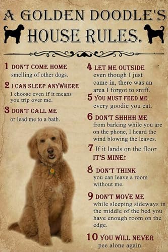 Fun Jigsaw Puzzle 1000 Pieces for Adults A Golden Doodle House Rules Picture Family Decorations, Wall Art Pictures for Living Room Props Educational Toys & Games 29.5 x 20 in - color: As29, size: 1000 Pieces