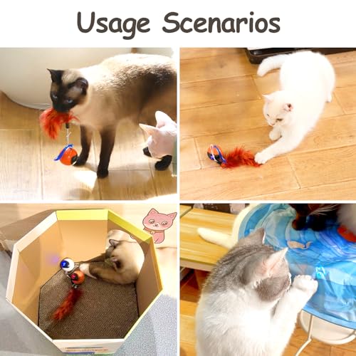 Migipaws Interactive Cat Ball Toy Set, Fun Tracker, Automatic Rolling Chase Ball with Fluffy Tail, A Small Mice, Rechargeable (White) - color: White